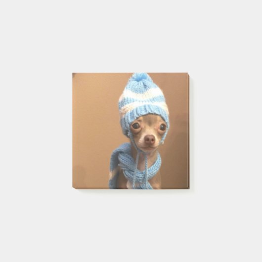 Chihuahuapost-itanmerkungen Post-it Klebezettel (Vorderseite)