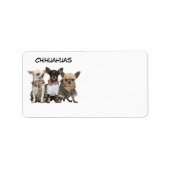 CHIHUAHUAS ADRESSAUFKLEBER (Vorne)