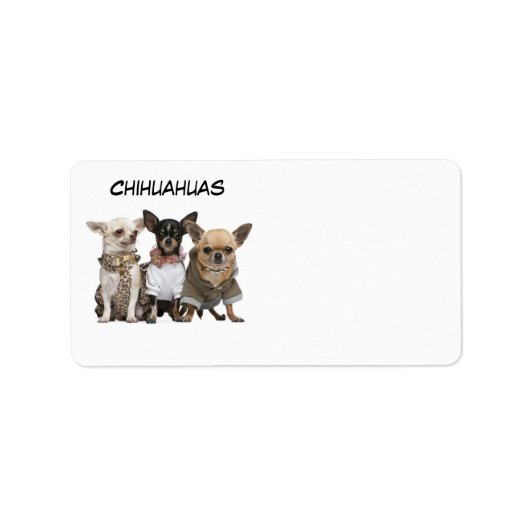 CHIHUAHUAS ADRESSAUFKLEBER (Vorne)