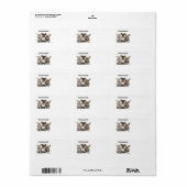 CHIHUAHUAS ADRESSAUFKLEBER (Vorne)