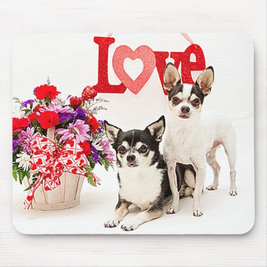 Chihuahuas, Blume und Liebe Mousepad (Vorne)