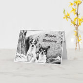 Chihuahuas Geburtskarte Karte (Gelbe Blume)