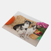 Chihuahuas im Fall Fußmatte (Schrägansicht)