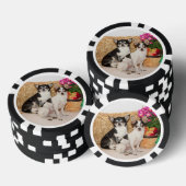 Chihuahuas im Fall Pokerchips (Stapel)