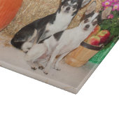 Chihuahuas im Fall Schneidebrett (Ecke)