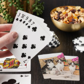 Chihuahuas im Fall Spielkarten (In Situ)