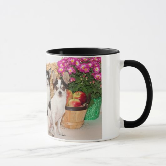 Chihuahuas im Fall Tasse (Rechts)