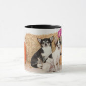 Chihuahuas im Fall Tasse (Zentrum)