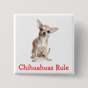 Chihuahuas-Regel-Button-Pin Button