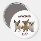 Chihuahuas Rock Magnet (Vorderseite/Rückseite)
