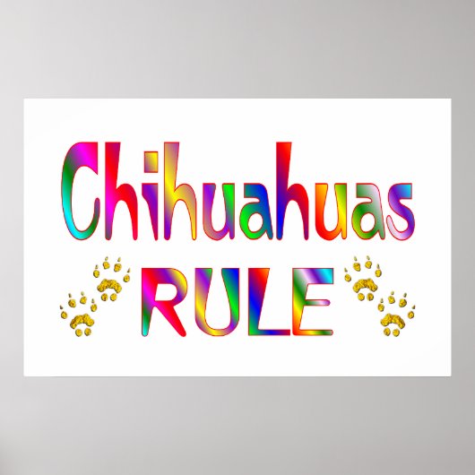 Chihuahuas Rule Poster (Vorne)