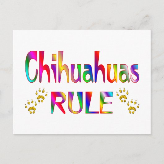 Chihuahuas Rule Postkarte (Vorderseite)