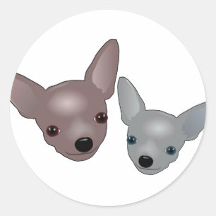 Chihuahuas Runder Aufkleber