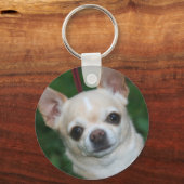 Chihuahuas Schlüsselanhänger (Vorderseite)