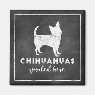 Chihuahuas verwöhnt hier Vintage-Schultafel Magnet