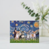 Chihuahuas (vier) - Starry Night Postkarte (Stehend Vorderseite)