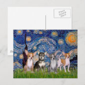 Chihuahuas (vier) - Starry Night Postkarte (Vorne/Hinten)
