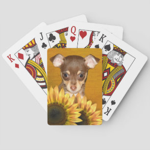 Chihuahuawelpe und -sonnenblumen spielkarten