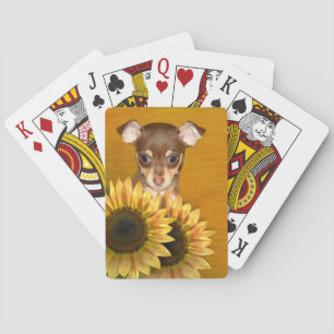 Chihuahuawelpe und -sonnenblumen spielkarten