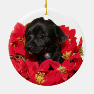 Chihuahuawelpe Weihnachten Keramik Ornament