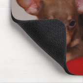 Chihuahuawelpen Mousepad (Ecke)