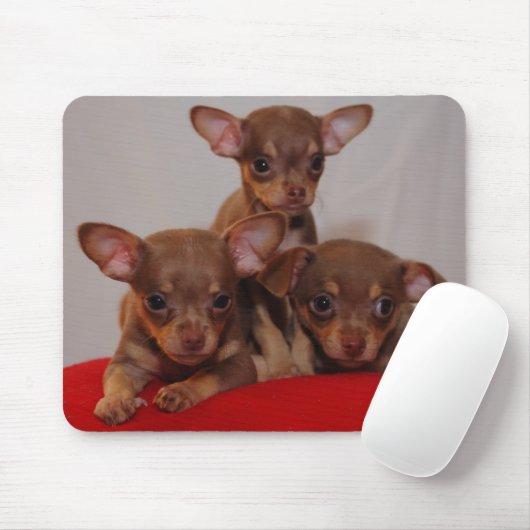Chihuahuawelpen Mousepad (Mit Mouse)