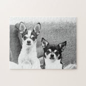 Chihuahuuas Puzzle (Horizontal)