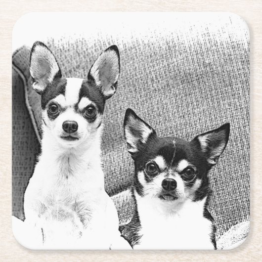 Chihuahuuas Rechteckiger Pappuntersetzer (Vorderseite)