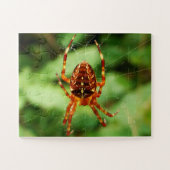 Children’s Spider Puzzle (Horizontal)