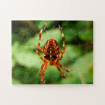 Children’s Spider Puzzle