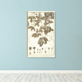 Chile 10 leinwanddruck (Insitu (Holzboden))