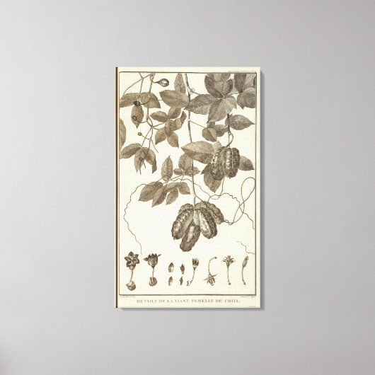 Chile 10 leinwanddruck (Vorderseite)