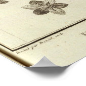 CHILE 2 POSTER (Ecke)