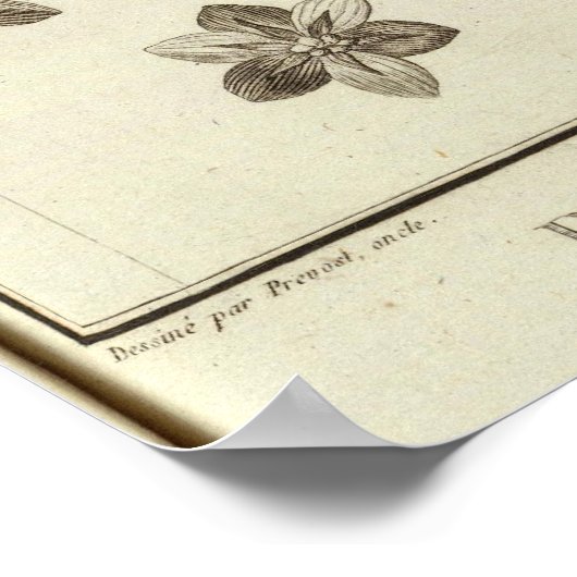 CHILE 2 POSTER (Ecke)