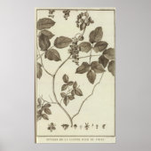 CHILE 2 POSTER (Vorne)