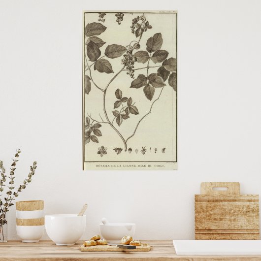 CHILE 2 POSTER (Küche)