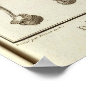 CHILE 3 POSTER (Ecke)