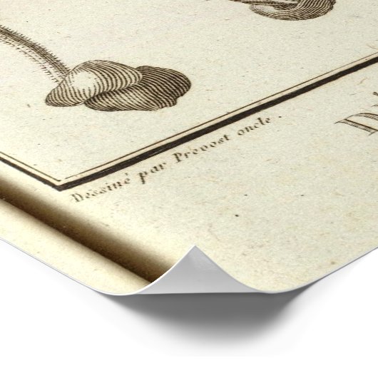 CHILE 3 POSTER (Ecke)