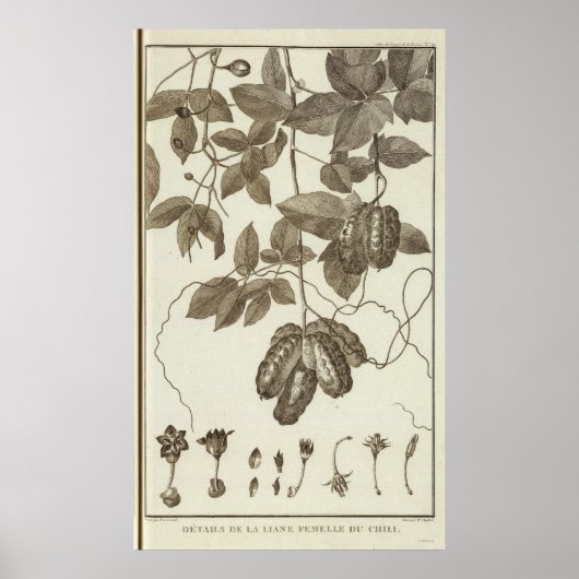 CHILE 3 POSTER (Vorne)