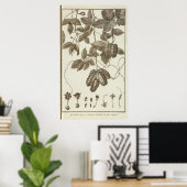 CHILE 3 POSTER (Heimbüro)