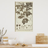 CHILE 3 POSTER (Küche)