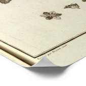 CHILE 4 POSTER (Ecke)