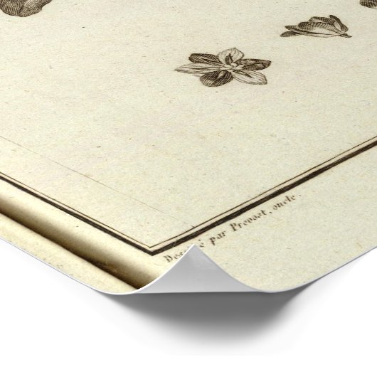 CHILE 4 POSTER (Ecke)