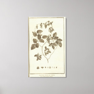 CHILE 8 LEINWANDDRUCK