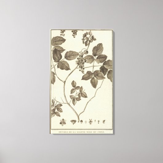 CHILE 9 LEINWANDDRUCK (Vorderseite)