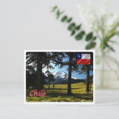 Chile - Araucarias - Postkarte (Stehend Vorderseite)