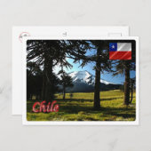Chile - Araucarias - Postkarte (Vorne/Hinten)