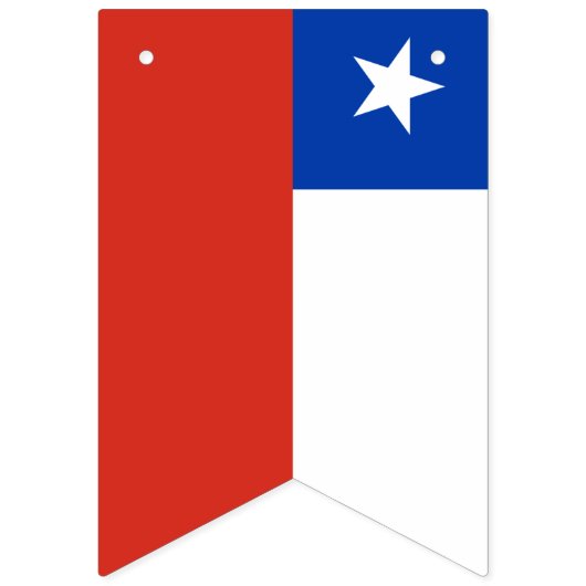 Chile-Flag Banner (Zweite Fahne)