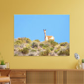 Chile Llama Canvas Print Leinwanddruck (Insitu (Wohnzimmer))