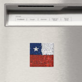 Chile Pintado Magnet (In Situ (Geschirrspüler))